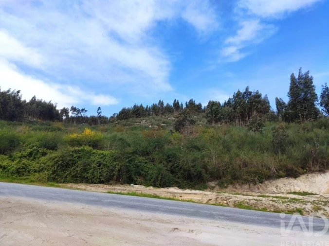 Terreno para Venda em Vila Boa de Quires e Maureles Foto 3