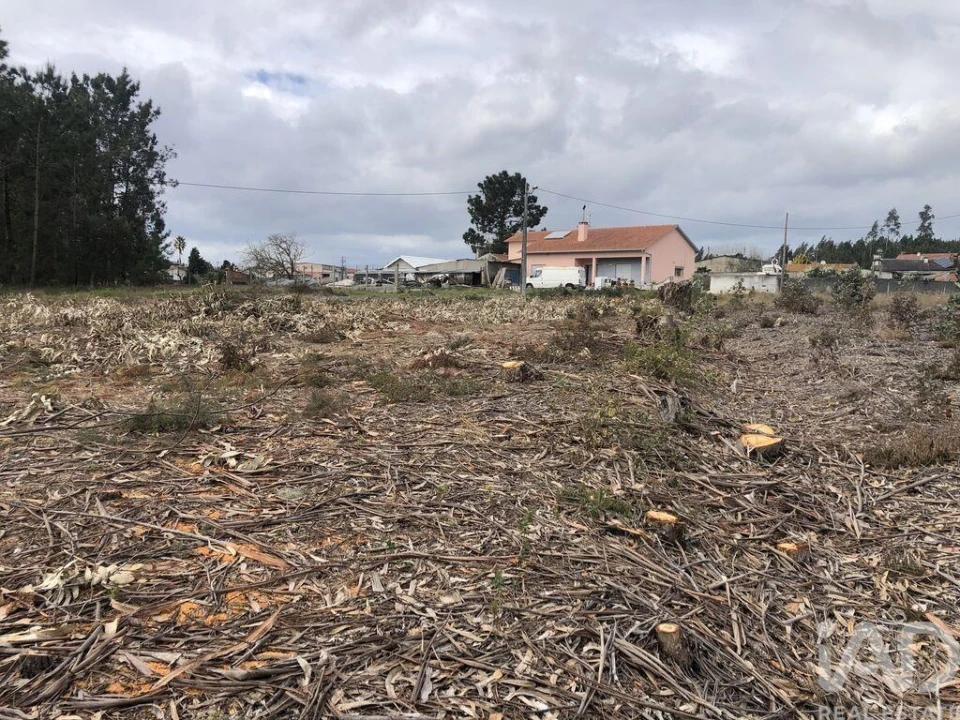 Terreno para Venda em Marinha Grande Foto 10