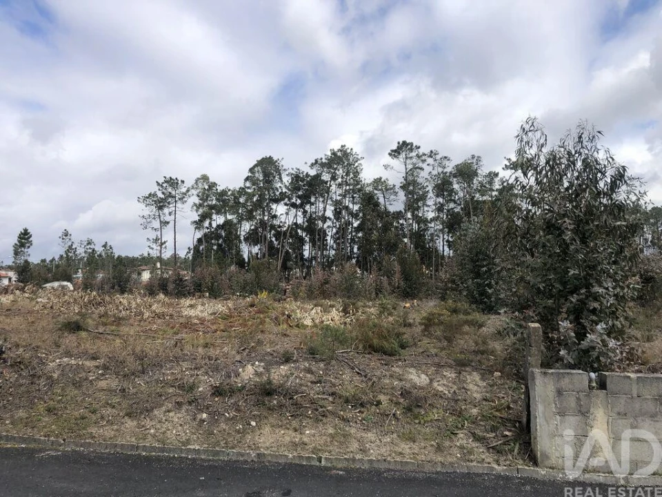 Terreno para Venda em Marinha Grande Foto 13