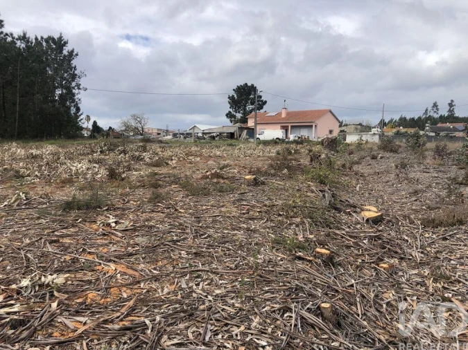 Terreno para Venda em Marinha Grande Foto 10