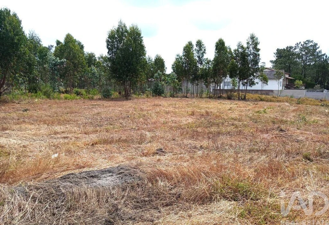 Terreno para Venda em Marinha Grande Foto 1