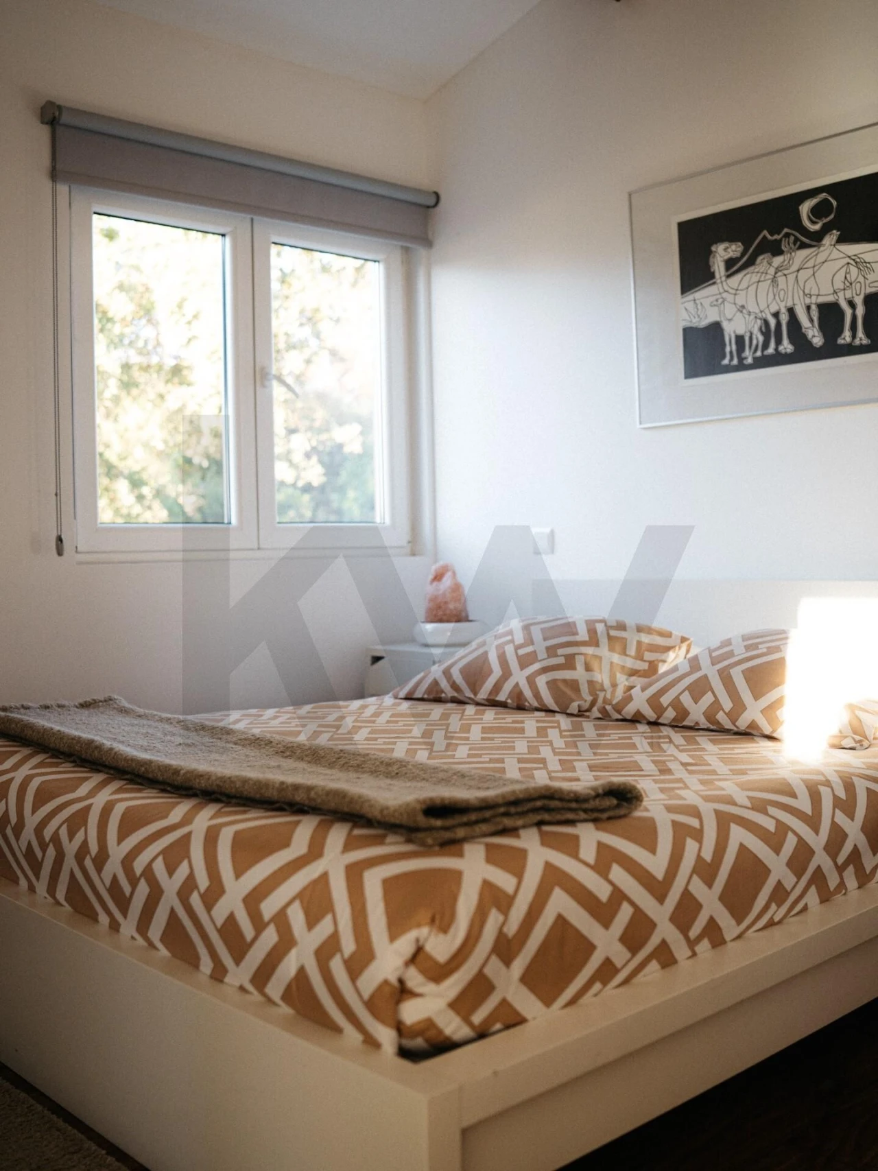 Quinta T7 para Venda em Cambeses Foto 15