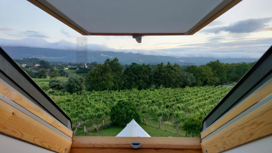 Quinta T7 para Venda em Cambeses Foto 3