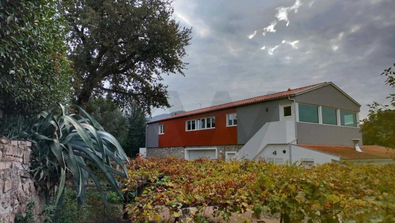 Quinta T7 para Venda em Cambeses Foto 9