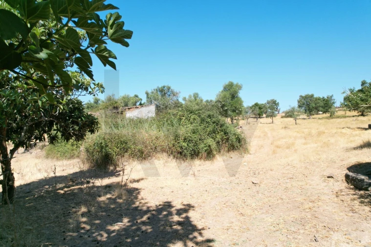 Quinta T1 para Venda em São Marcos da Serra Foto 38