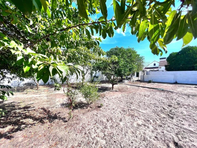 Moradia T4 para Venda em Couço Foto 29