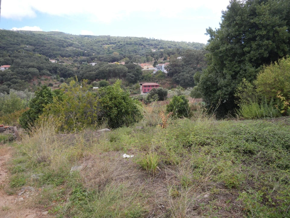 Terreno para Venda em Monchique Foto 20