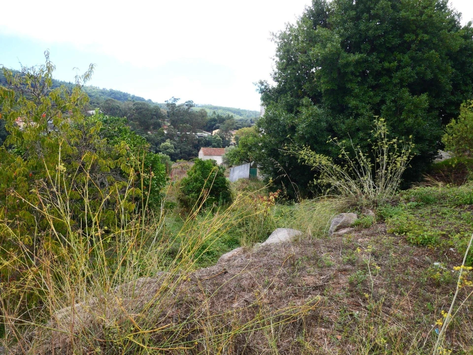 Terreno para Venda em Monchique Foto 18