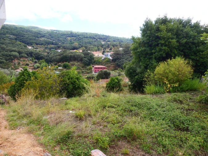 Terreno para Venda em Monchique Foto 17