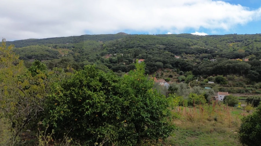 Terreno para Venda em Monchique Foto 5