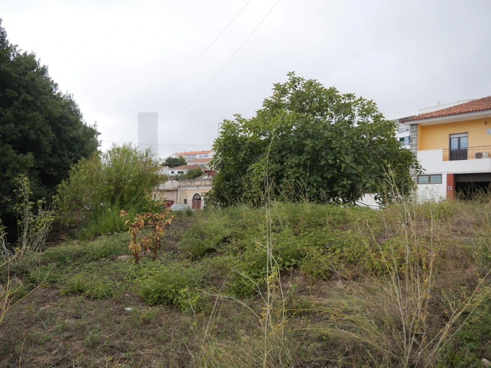 Terreno para Venda em Monchique Foto 16