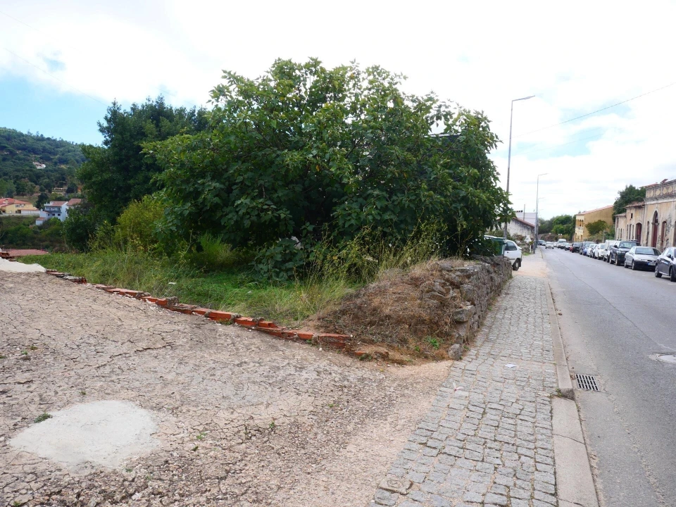 Terreno para Venda em Monchique Foto 10