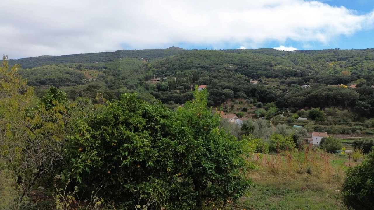 Terreno para Venda em Monchique Foto 5