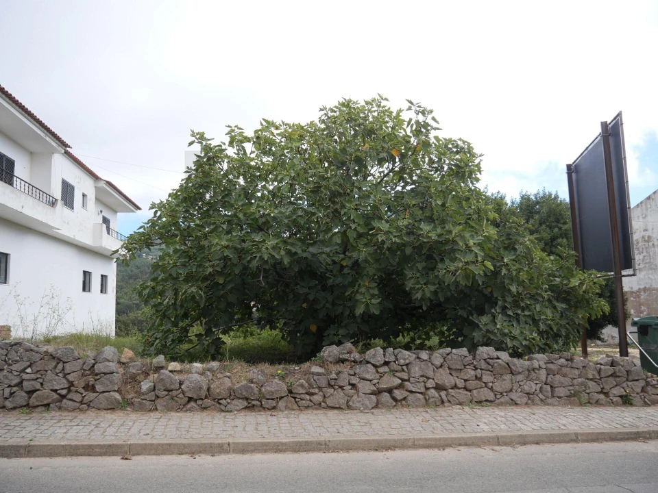 Terreno para Venda em Monchique Foto 2