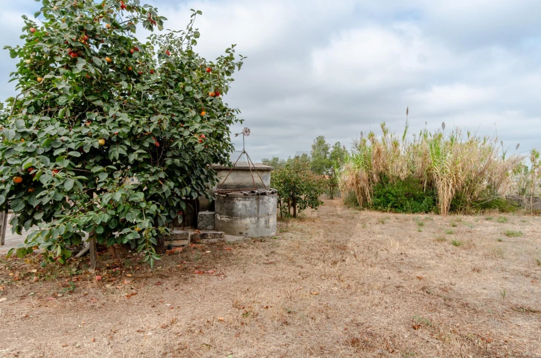 Terreno para Venda em Santo Antonio da Charneca Foto 18