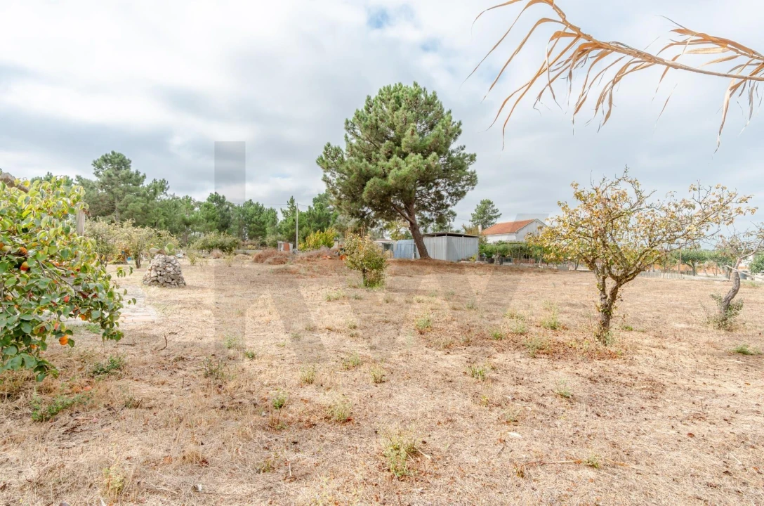 Terreno para Venda em Santo Antonio da Charneca Foto 7