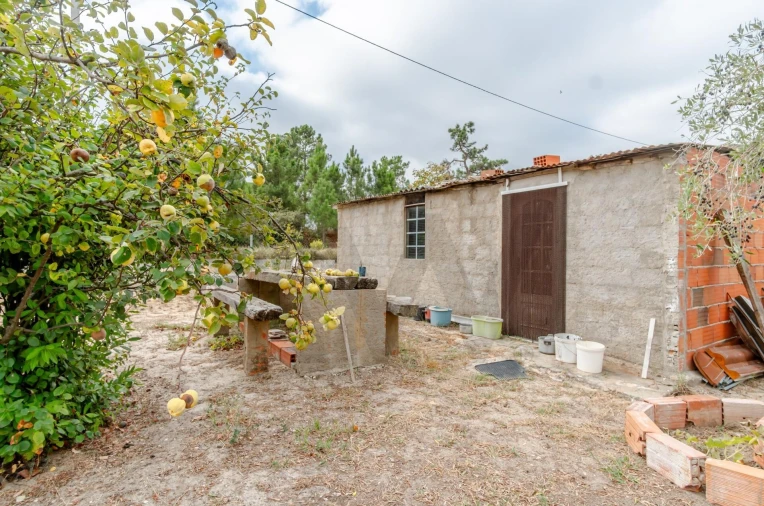Terreno para Venda em Santo Antonio da Charneca Foto 12