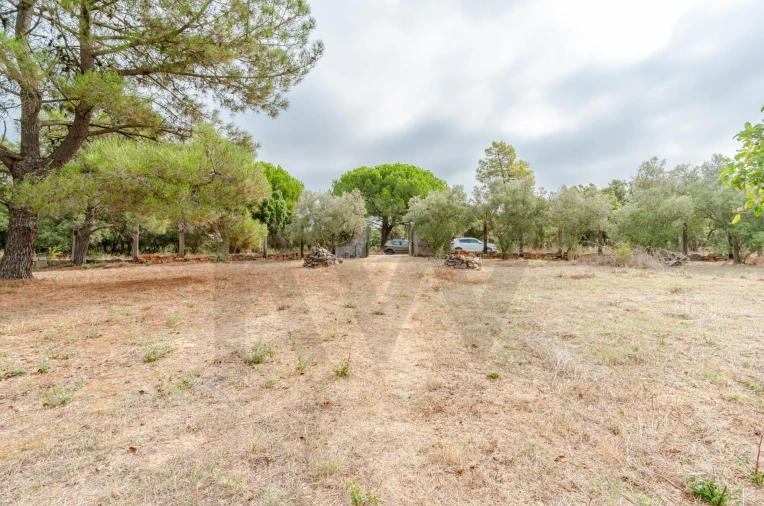 Terreno para Venda em Santo Antonio da Charneca Foto 10