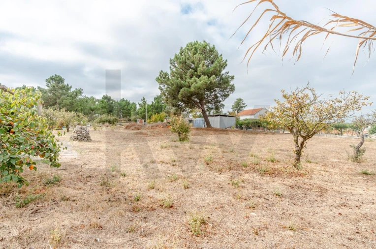 Terreno para Venda em Santo Antonio da Charneca Foto 7