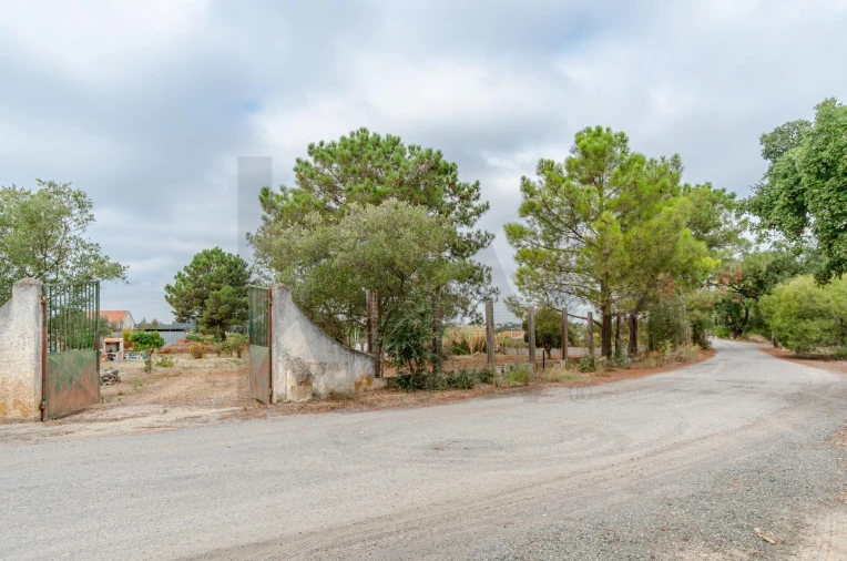 Terreno para Venda em Santo Antonio da Charneca