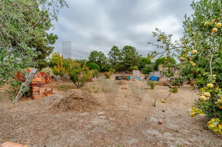 Terreno para Venda em Santo Antonio da Charneca Foto 13