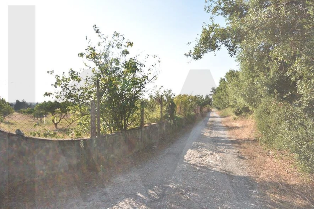 Terreno para Venda em Azeitão (São Lourenço e São Simão) Foto 4