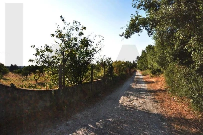 Terreno para Venda em Azeitão (São Lourenço e São Simão)