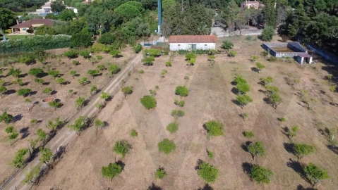 Terreno para Venda em Azeitão (São Lourenço e São Simão)