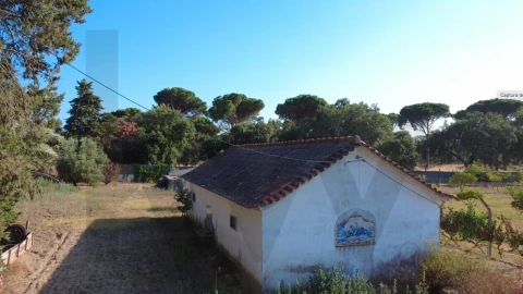 Terreno para Venda em Azeitão (São Lourenço e São Simão)