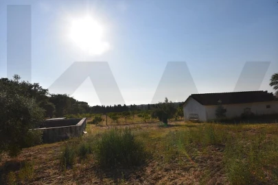 Terreno para Venda em Azeitão (São Lourenço e São Simão)