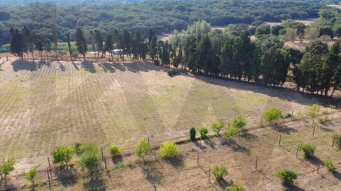 Terreno para Venda em Azeitão (São Lourenço e São Simão)