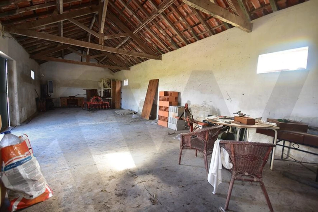 Terreno para Venda em Azeitão (São Lourenço e São Simão) Foto 9