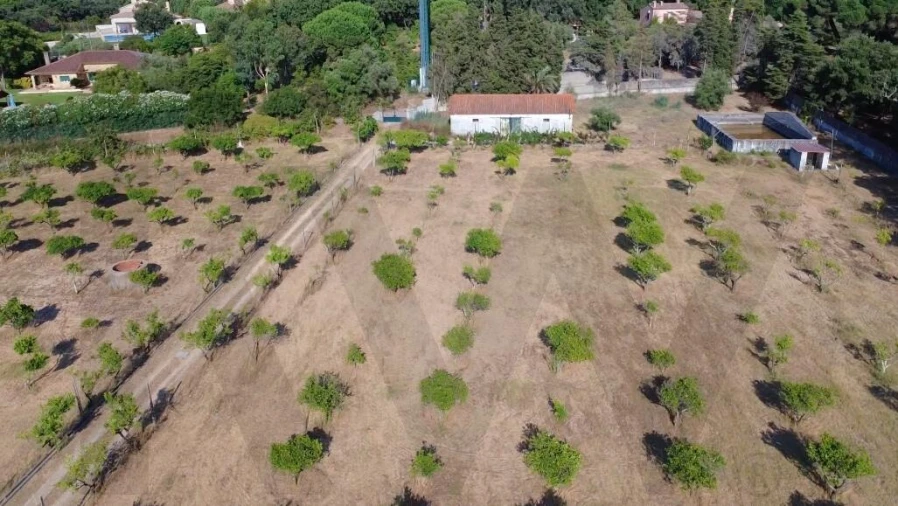 Terreno para Venda em Azeitão (São Lourenço e São Simão) Foto 14