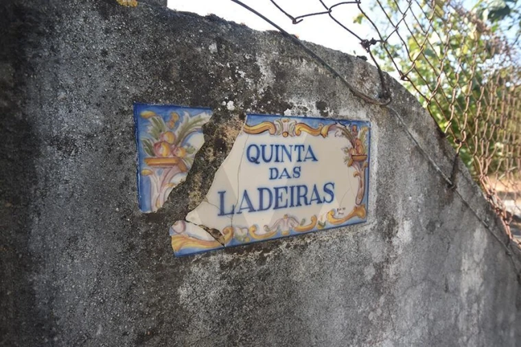 Terreno para Venda em Azeitão (São Lourenço e São Simão) Foto 21
