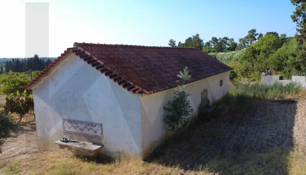 Terreno para Venda em Azeitão (São Lourenço e São Simão) Foto 18