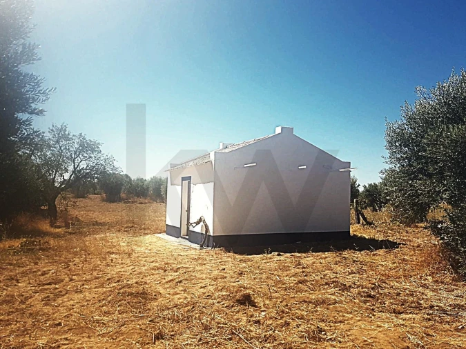 Terreno para Venda em Reguengos de Monsaraz Foto 4