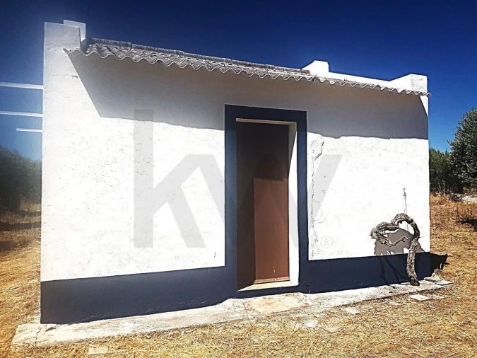 Terreno para Venda em Reguengos de Monsaraz Foto 5