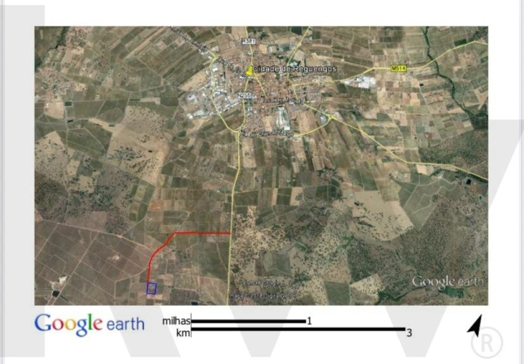 Terreno para Venda em Reguengos de Monsaraz Foto 11
