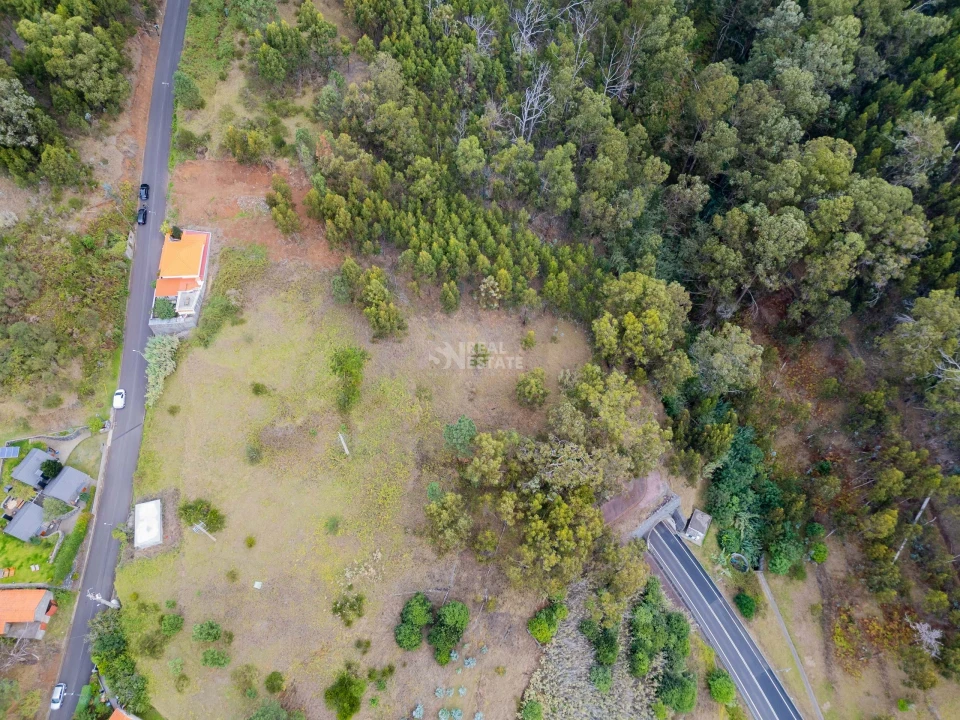 Terreno para Venda em Estreito da Calheta Foto 8
