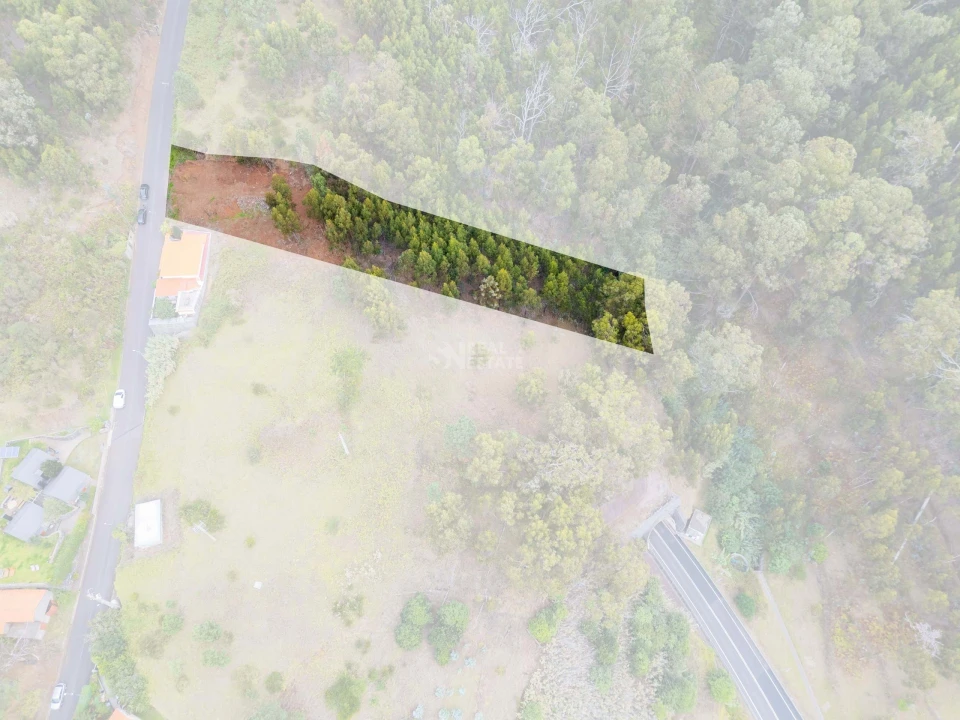 Terreno para Venda em Estreito da Calheta Foto 7