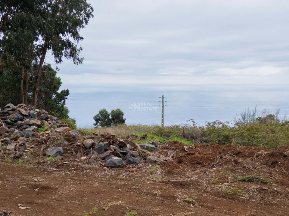 Terreno para Venda em Estreito da Calheta Foto 6
