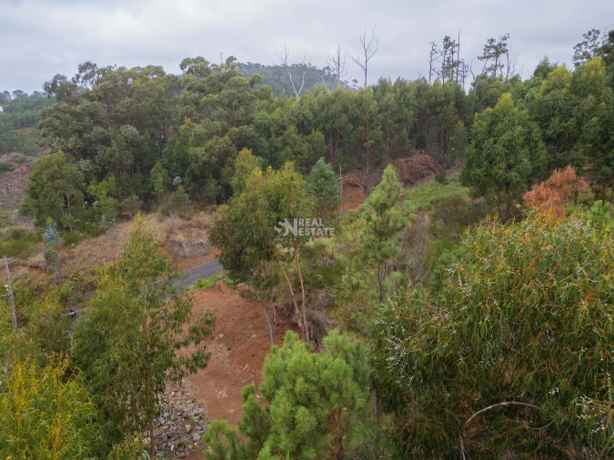 Terreno para Venda em Estreito da Calheta Foto 26
