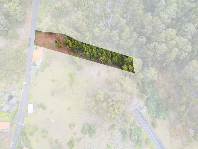 Terreno para Venda em Estreito da Calheta Foto 7