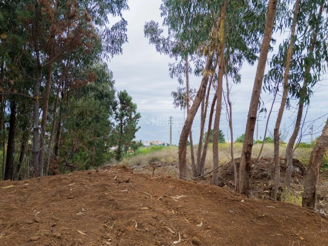 Terreno para Venda em Estreito da Calheta Foto 17