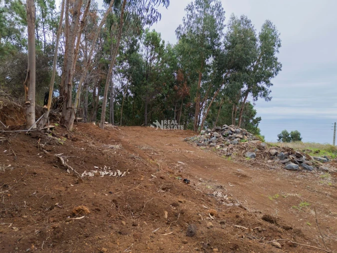 Terreno para Venda em Estreito da Calheta Foto 4
