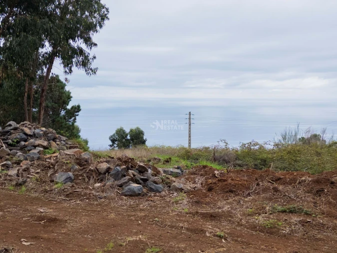 Terreno para Venda em Estreito da Calheta Foto 6