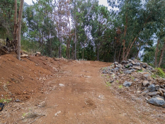 Terreno para Venda em Estreito da Calheta Foto 18
