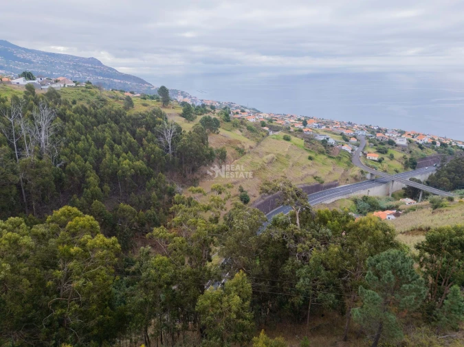 Terreno para Venda em Estreito da Calheta Foto 23