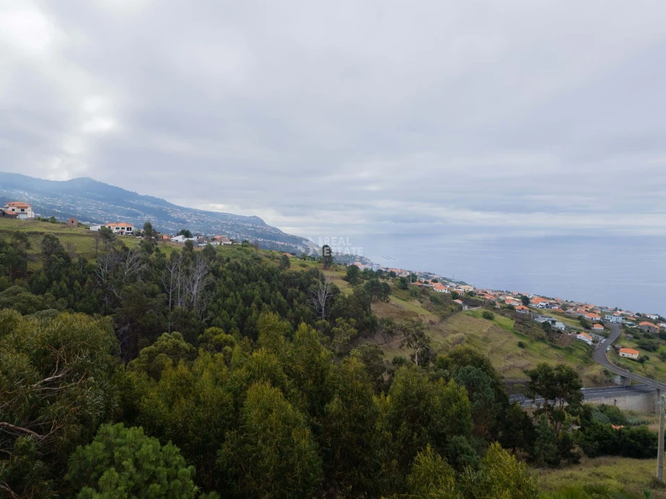 Terreno para Venda em Estreito da Calheta Foto 21