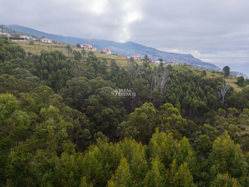 Terreno para Venda em Estreito da Calheta Foto 24
